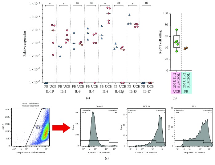 Figure 5