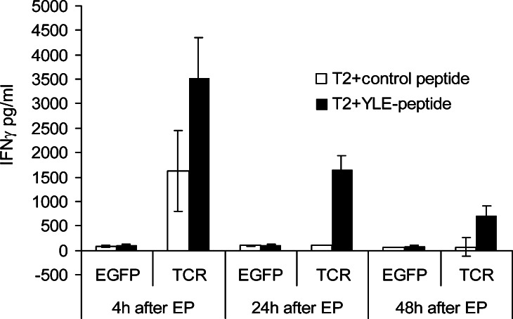 Fig. 2