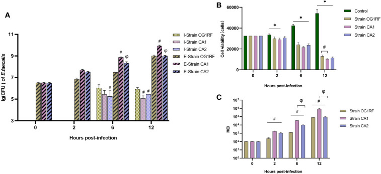 Figure 1