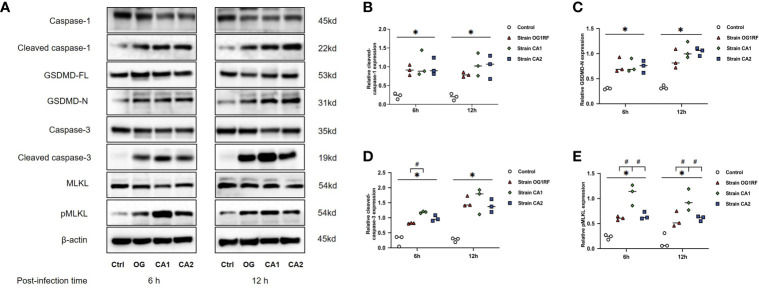 Figure 4