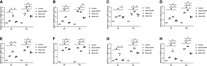 Figure 3