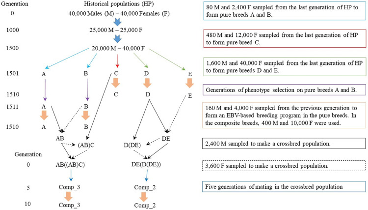 FIGURE 1