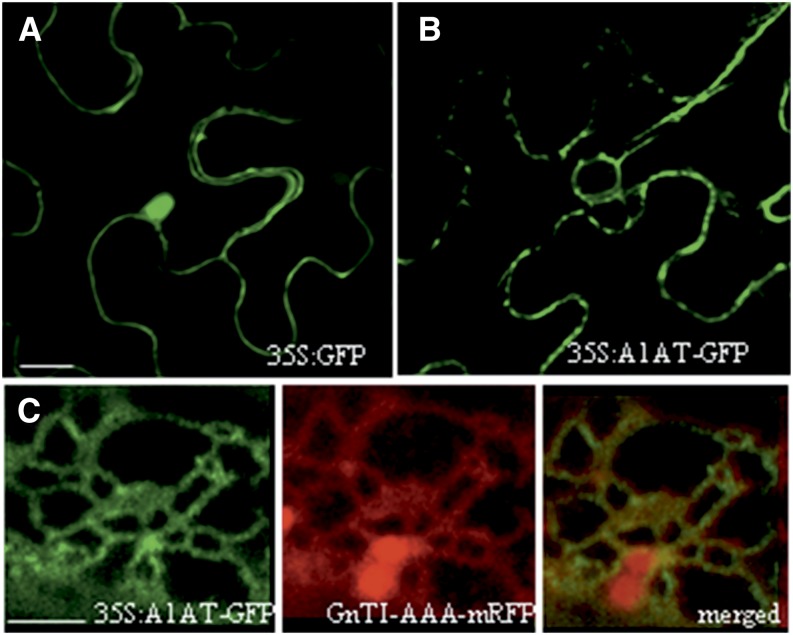 Figure 10.