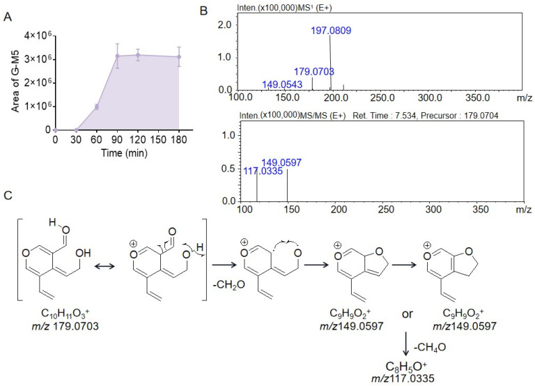 Figure 5