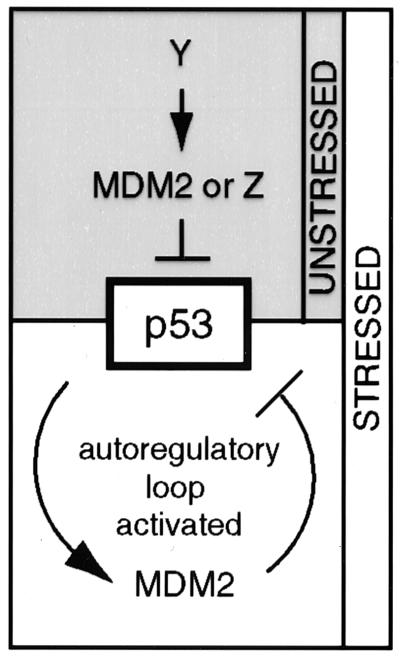 FIG. 6