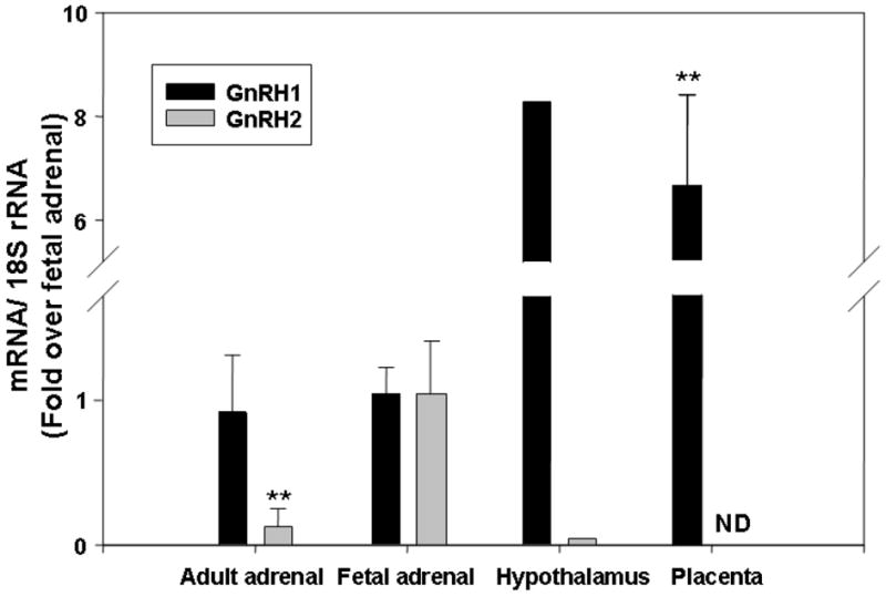 Fig.6