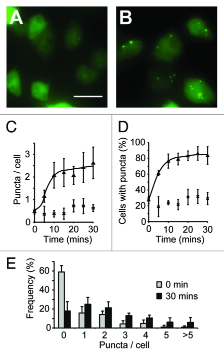 Figure 1.