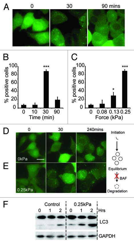 Figure 5.