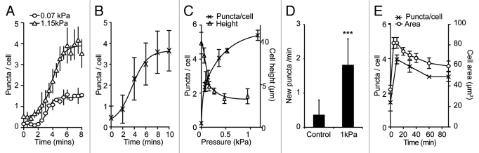 Figure 4.