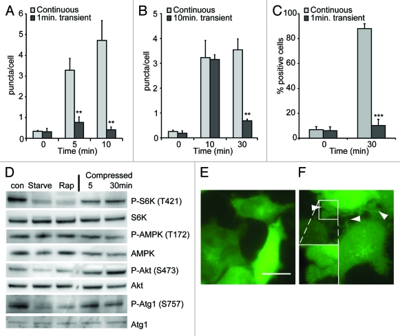 Figure 6.