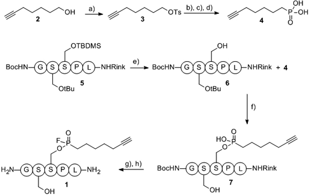 Scheme 1