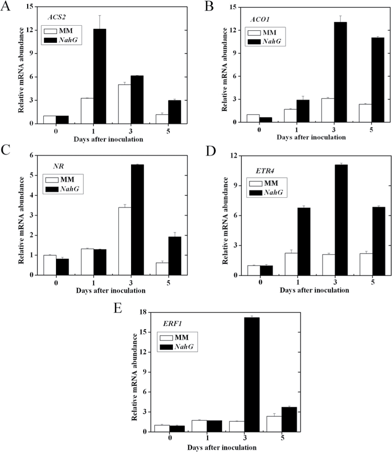 Fig. 7.