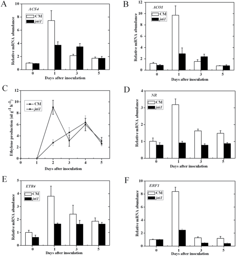 Fig. 4.