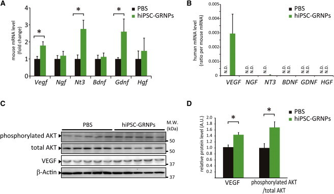 Figure 4