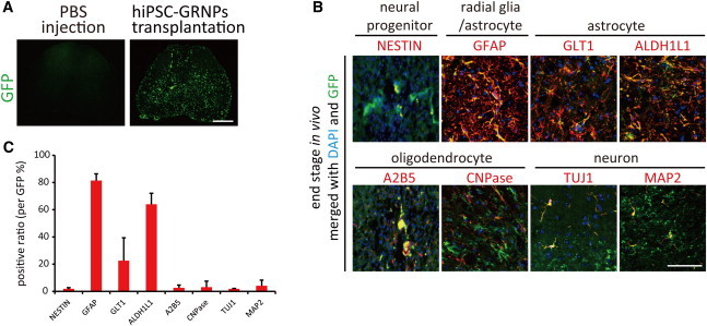 Figure 3