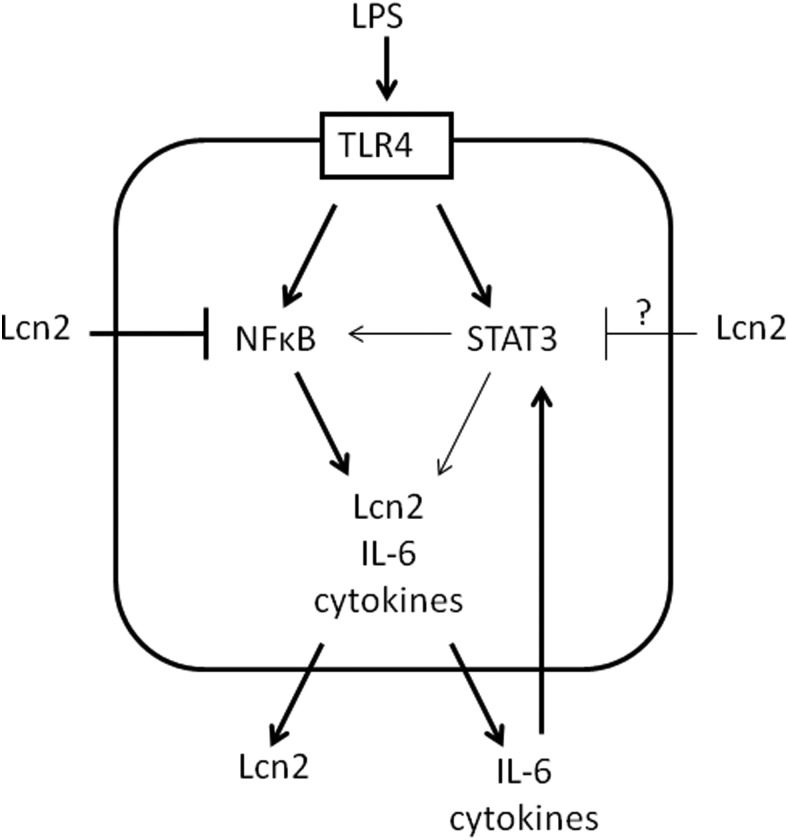 Figure 7.