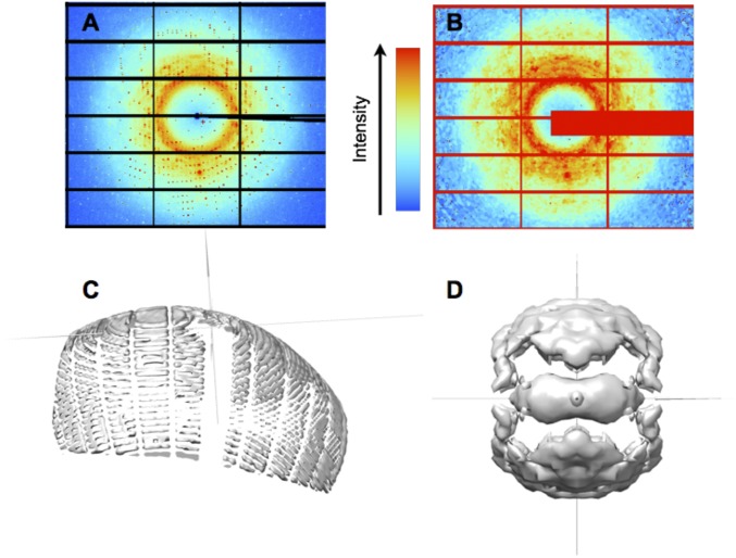 Fig. 1.