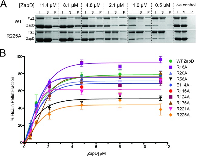 FIG 3