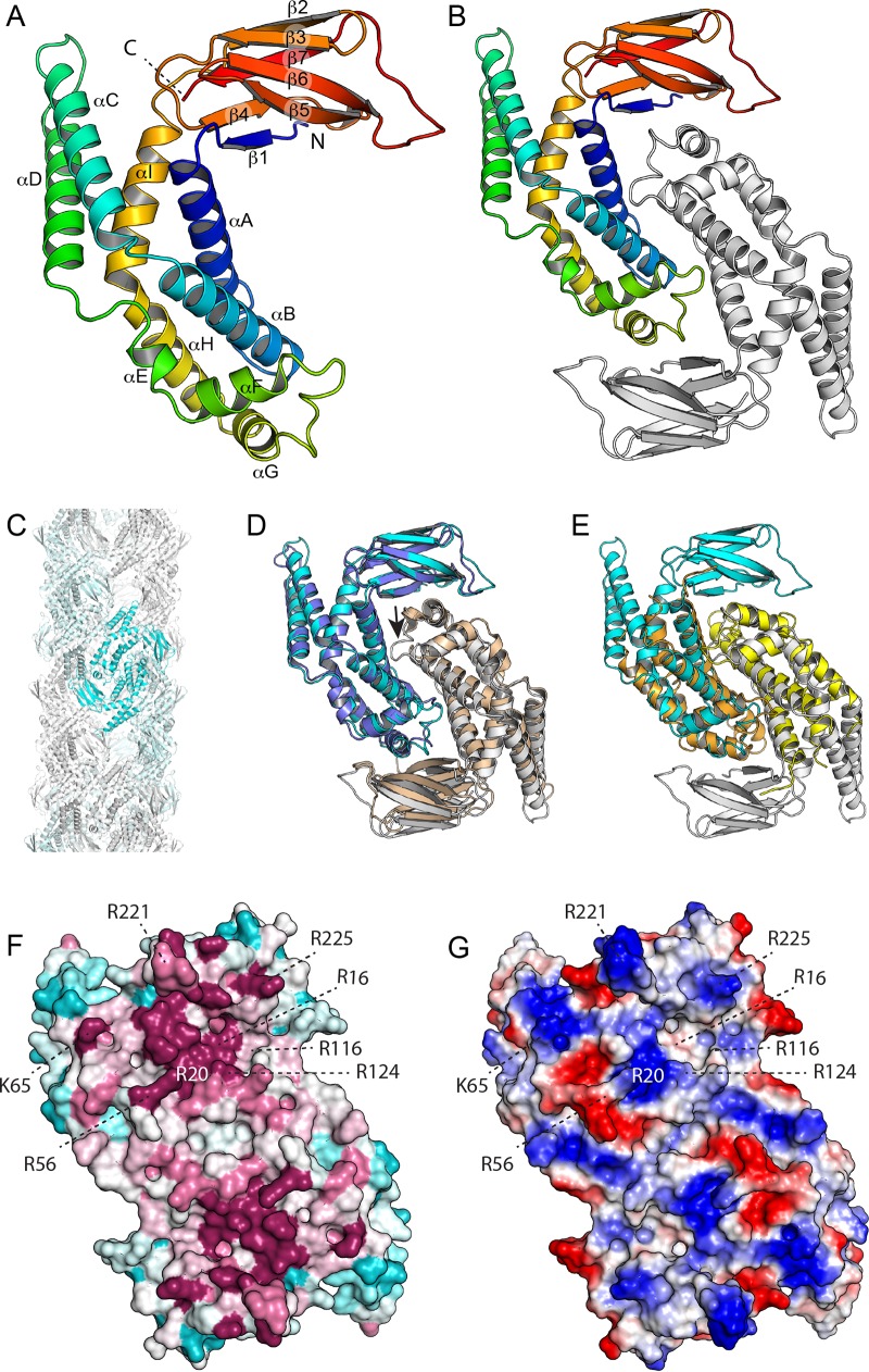 FIG 1