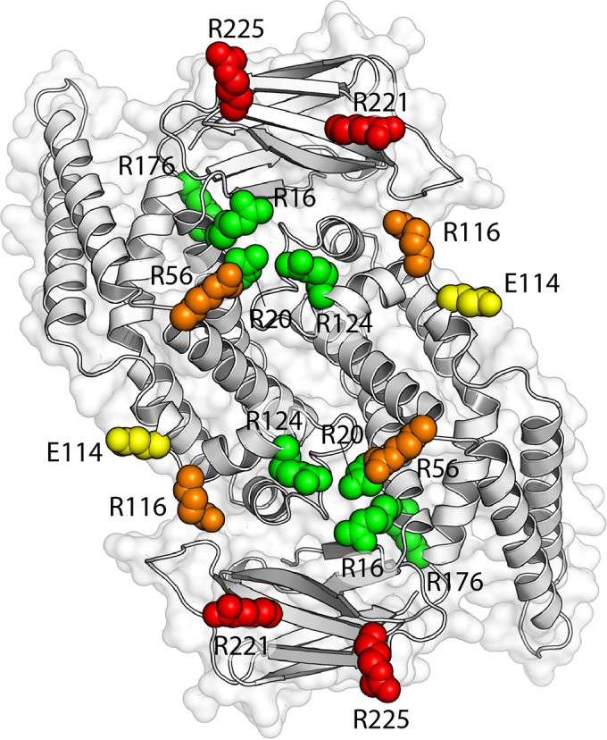 FIG 6