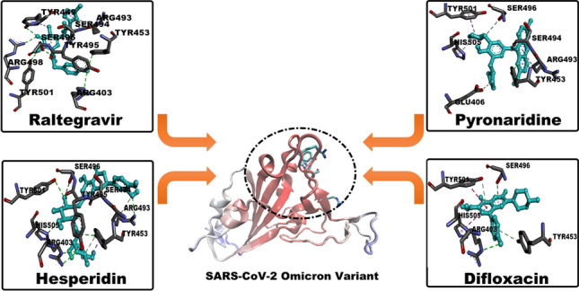 graphic file with name 894_2023_5457_Figa_HTML.jpg