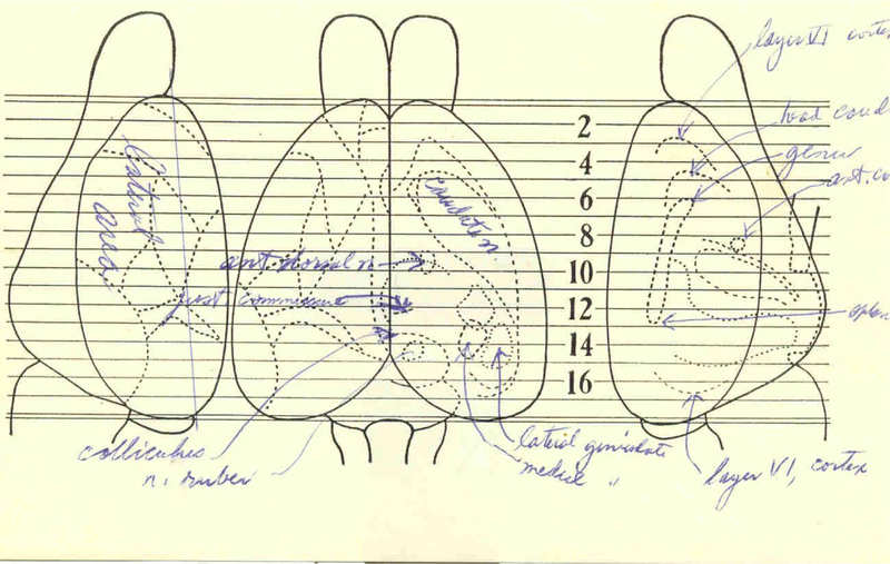 Fig. 3: