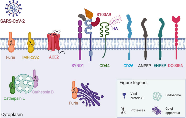 FIGURE 2