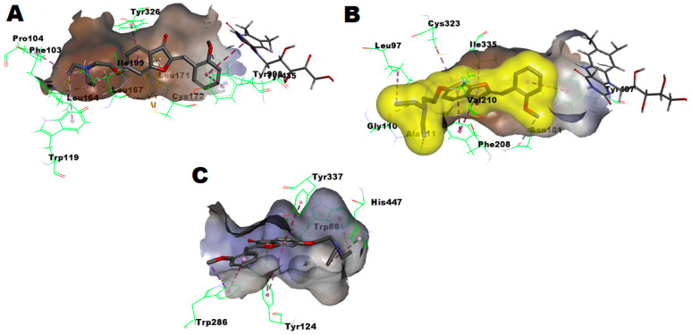 Figure 7