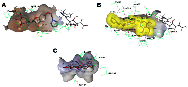 Figure 6