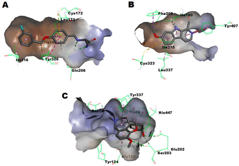 Figure 5