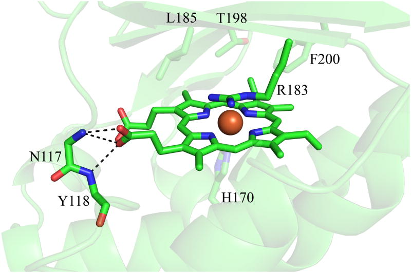 Figure 9