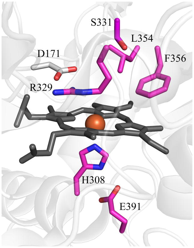 Figure 7