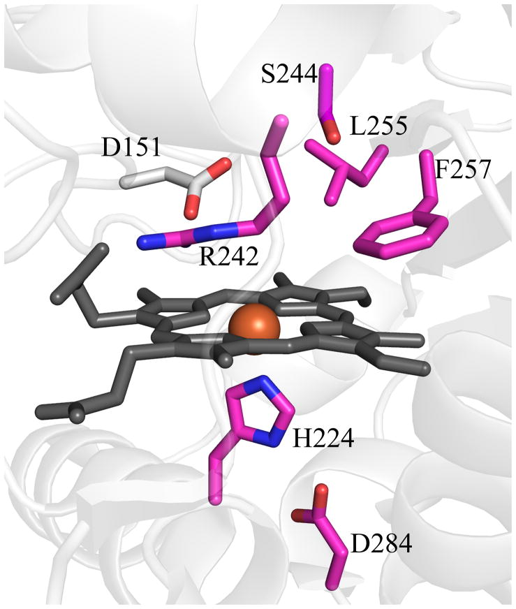 Figure 7