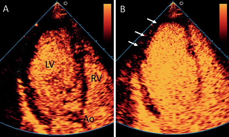 Fig. 2