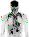 Fig. S3.
