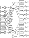 Figure 20