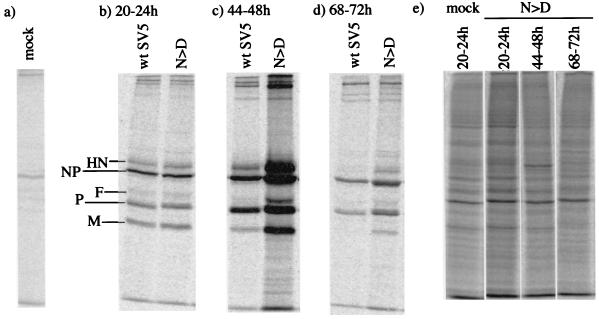 FIG. 5