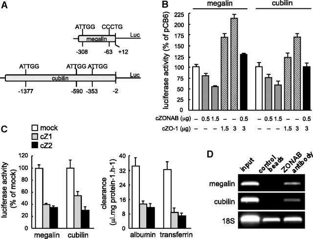 Figure 6.