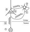 Fig. 6.