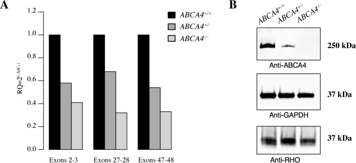 Fig 3