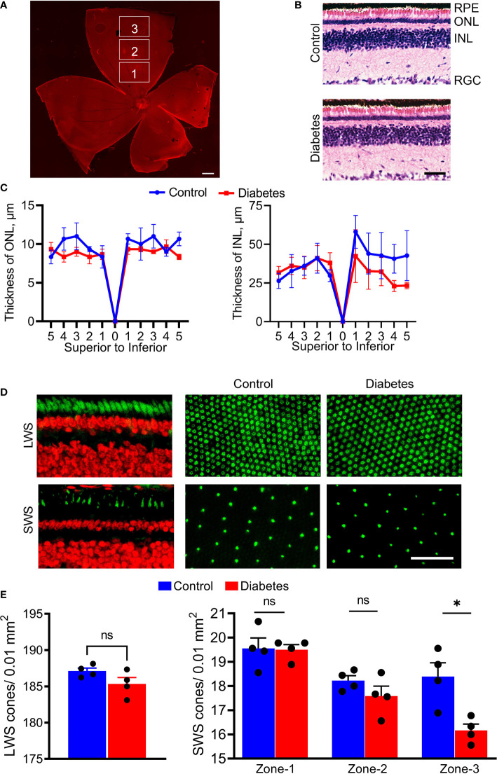 Figure 4