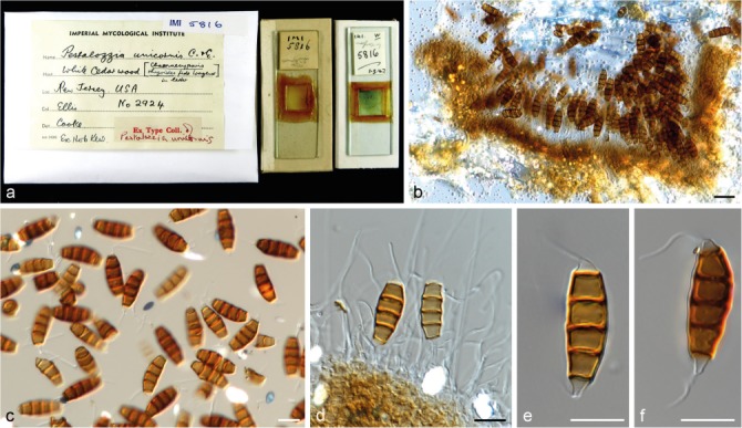 Fig. 15