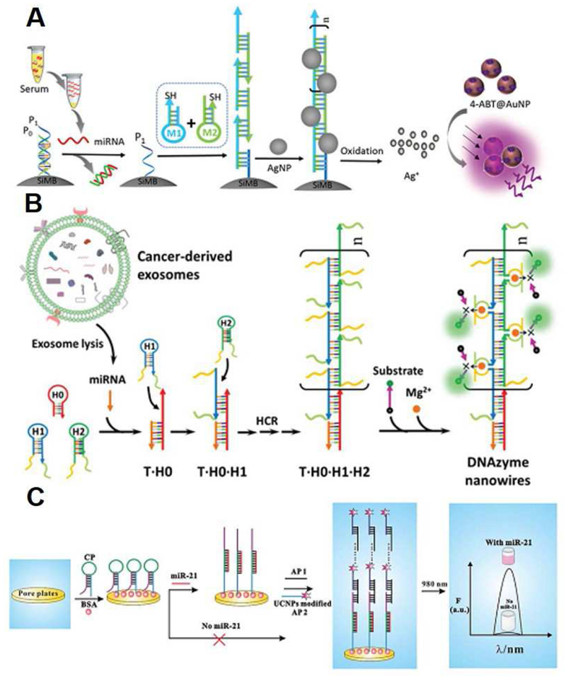 Figure 12.