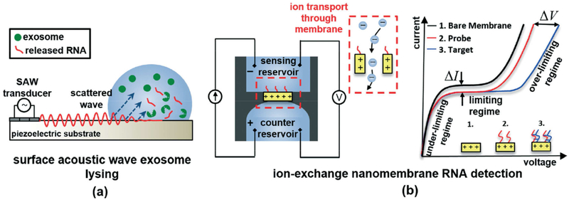 Figure 16.