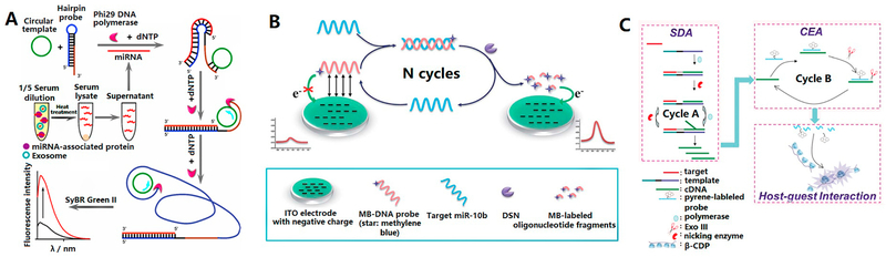 Figure 11.