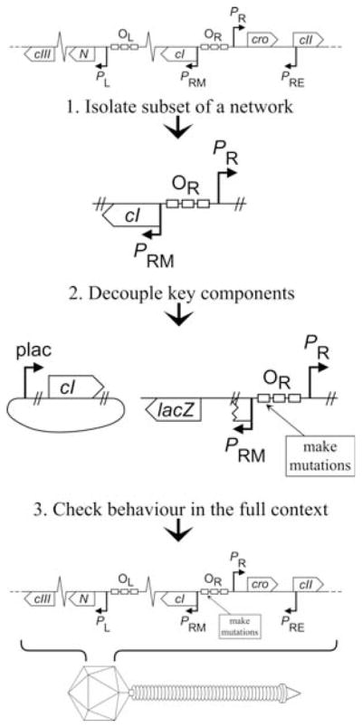 Fig. 15.2