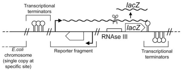 Fig. 15.1