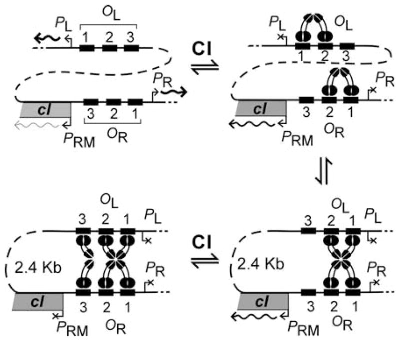 Fig. 15.4