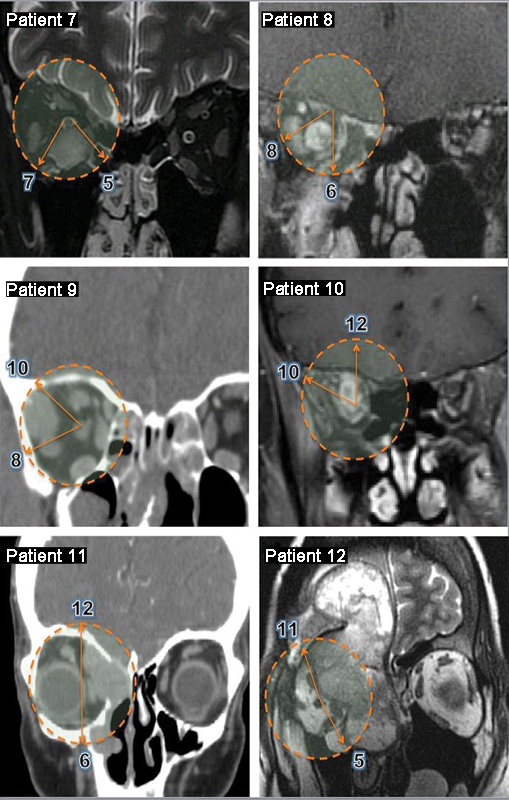 Fig. 6