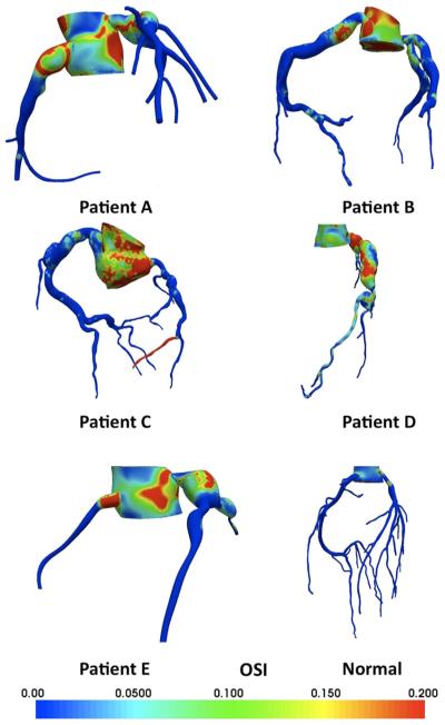 Fig. 4